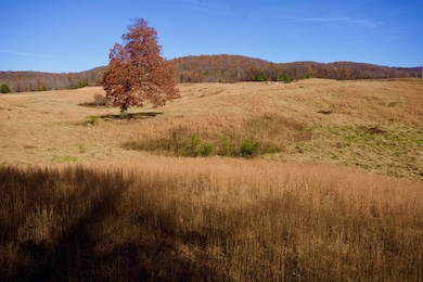 Tract 7 Barlow Rd, Rock Island, TN 38581 - photo 4