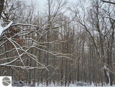 0 Clear Lake Rd unit 1930102, West Branch, MI 48661 - photo 6