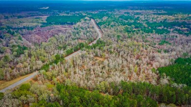 0 Hwy 24 East 76 Acres, Prescott, AR 71857 - photo 5