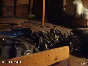 231 E Washington St, McAdoo, PA 18237 - photo 7