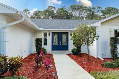 Beautiful entry doors