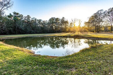 6676 Daw Collins Rd, Cleveland, TX 77328 - photo 2