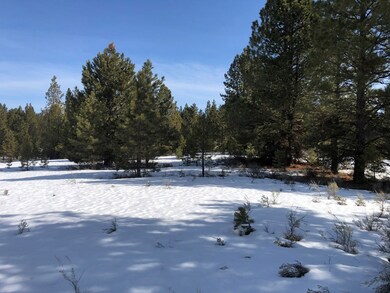 Nice Level Area To Build That Dream Home or Cabin