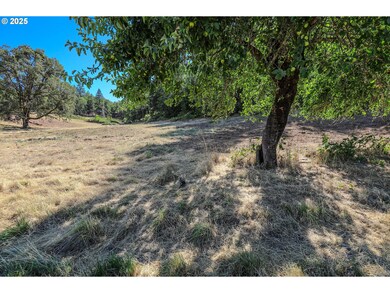 281 Karenza Ln, Roseburg, OR 97471 - photo 6