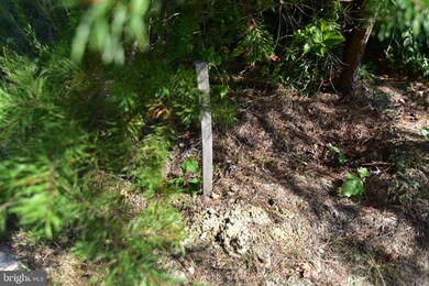 0 Billingsley Rd unit MDCH221248, White Plains, MD 20695 - photo 5