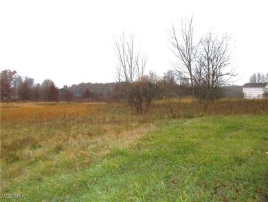 0 Palmyra Rd unit 5173098, Lordstown, OH 44481 - photo 3