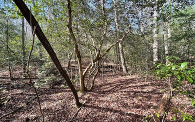 Additional View