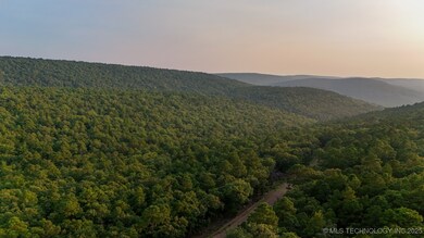 13 Moonshine Dr, Clayton, OK 74536 - photo 4