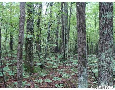 Lot 34 Spotted Fawn Rd, Danbury, WI 54830 - photo 6