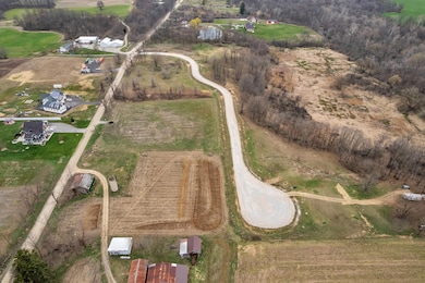 1055 Overlook Ct, Lodi Township, MI 48176 - photo 3