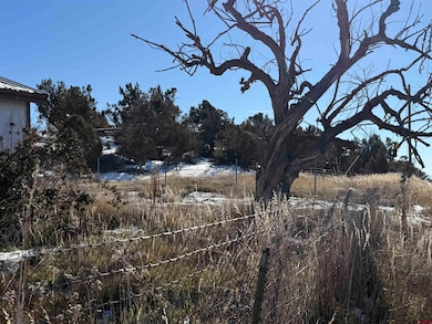 14874 Colorado 145, Dolores, CO 81323 - photo 2