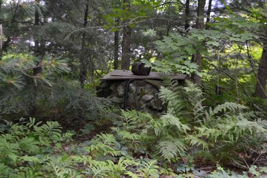 178 Meredith Center Rd, Meredith, NH 03253 - photo 6