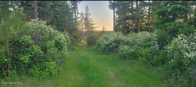 IMG_4635