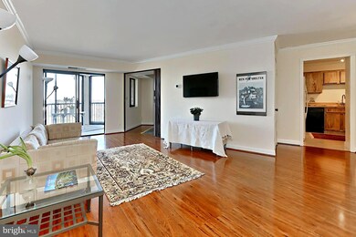 5901 Mount Eagle Dr unit 1003, Alexandria, VA 22303 - photo 6