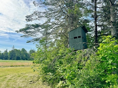 Lot #37 Hewett Rd, Dover-Foxcroft, ME 04426 - photo 5