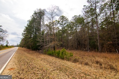 0 Salem Rd unit 10453687, Pine Mountain, GA 31822 - photo 2
