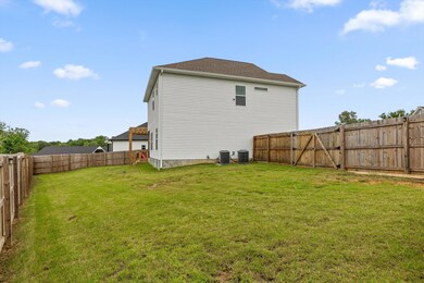 3 Back Yard