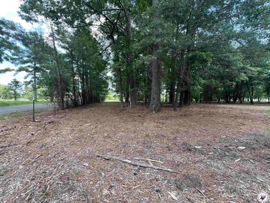 0 Cr 3201 & Cr 3203 unit 117264, Dekalb, TX 75559 - photo 6