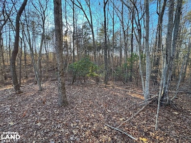 0 Catawba Valley Blvd SE unit 24454786, Hickory, NC 28602 - photo 6