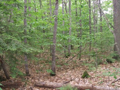 236 E Old Alfred Rd, Hollis Center, ME 04042 - photo 4