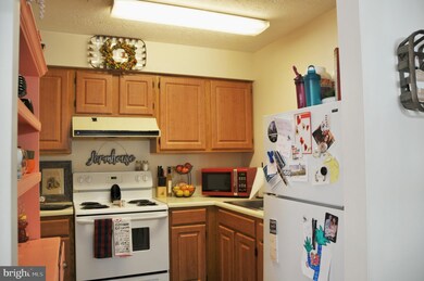 145 Hensel Dr, Shepherdstown, WV 25443 - photo 3