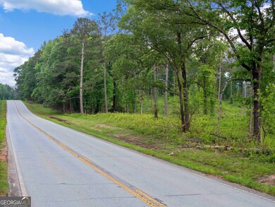 0 Georgia 100 unit 10646369, Franklin, GA 30217 - photo 7