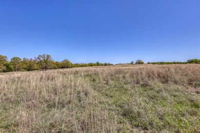 TBD 60 Bosal Ln, Weatherford, TX 76088 - photo 6