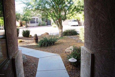 Frontyard (3)