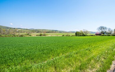 000 Ellis Artley Rd unit LOT 1, Muncy Township, PA 17756 - photo 4