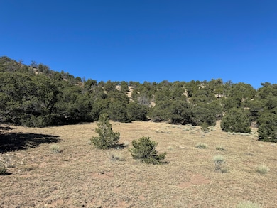 L41 Co Rd 531 Cl&g Unit Bb, Walsenburg, CO 81089 - photo 7