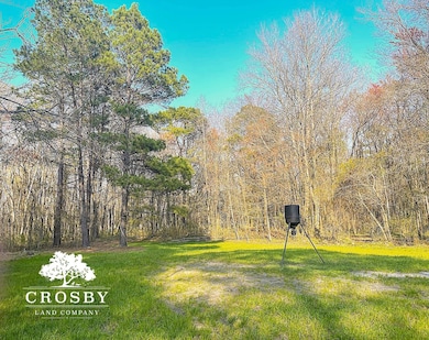 2555 E Brewington Rd, Sumter, SC 29153 - photo 5