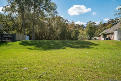 13322 Bayou Terrace Dr, St. Amant, LA 70774 - photo 7