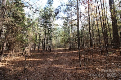 6+/-AC Bookout Rd, Rock Hill, SC 29730 - photo 3