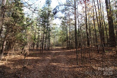 Lot 1 6+/-AC Bookout Rd, Rock Hill, SC 29730 - photo 3