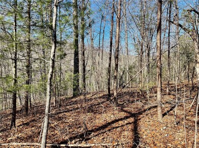 XX Marble Branch Trail, Walhalla, SC 29691 - photo 6