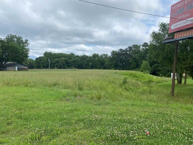 0 Us 15 501 Hwy unit 2451067, Pittsboro, NC 27312 - photo 2