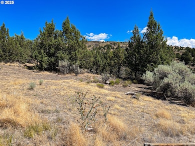 219 Valley View Dr, John Day, OR 97845 - photo 4