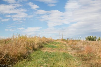 Zillah14acre-007