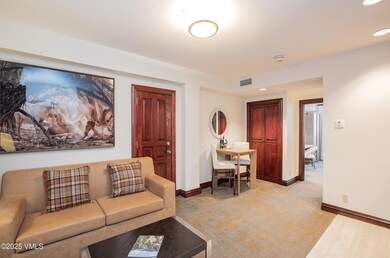 26 Avondale Ln unit 206-H, Beaver Creek, CO 81620 - photo 4