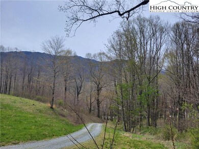 TBD Tract #7, Banner Elk, NC 28604 - photo 6
