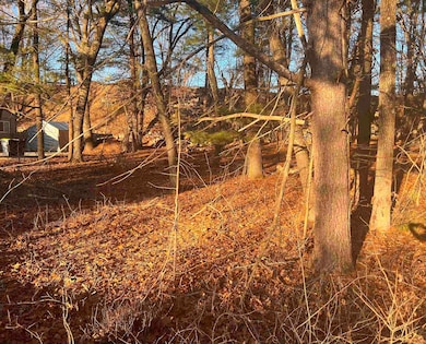 Lot 3 E Hiawatha Dr, Wisconsin Dells, WI 53965 - photo 2