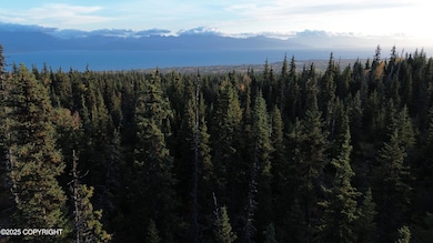 54533 Winchester Ave, Fritz Creek, AK 99603 - photo 2