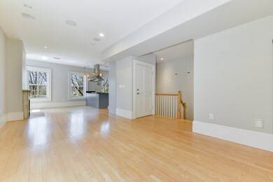 41 Worcester St unit 3, Boston, MA 02118 - photo 6