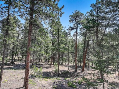 1002 Indian Creek Rd unit R0011770, Florissant, CO 80816 - photo 6