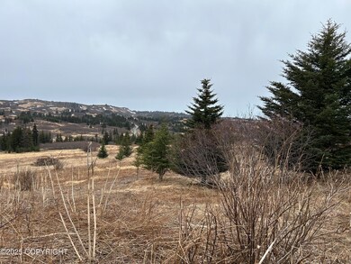 Looking West