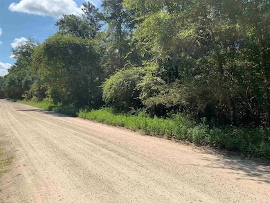 0 Parramore Shores Rd unit 389057, Tallahassee, FL 32310 - photo 3