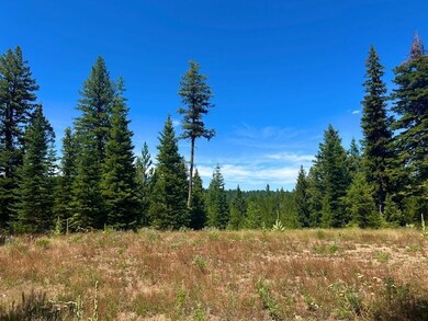 25 Sawtooth Loop unit Lot 25, Cascade, ID 83611 - photo 2