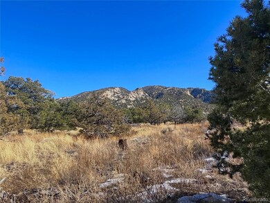 121 Cedar Ridge Rd, Mosca, CO 81146 - photo 5