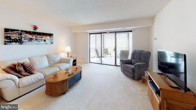 5901 Mount Eagle Dr unit 507, Alexandria, VA 22303 - photo 3