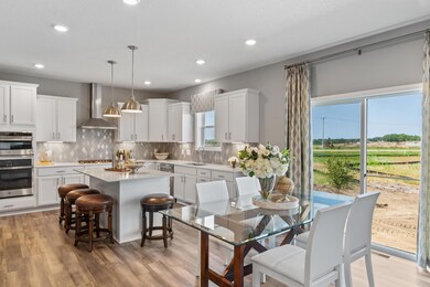 6422 Tamarack Ln, Corcoran, MN 55340 - photo 5